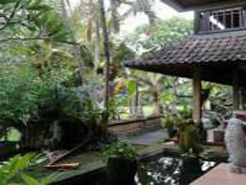 Guest house Jati Home Stay Ubud